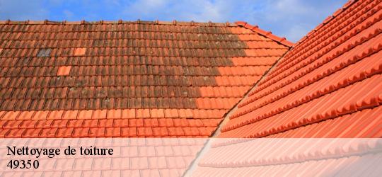 Nettoyage de toiture  les-rosiers-sur-loire-49350 PJ nettoyage