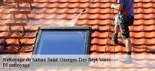 Nettoyage de toiture  saint-georges-des-sept-voies-49350 PJ nettoyage