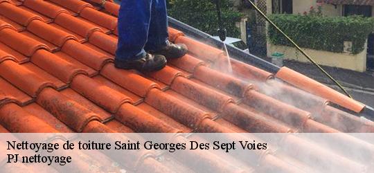Nettoyage de toiture  saint-georges-des-sept-voies-49350 PJ nettoyage
