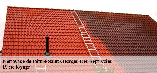 Nettoyage de toiture  saint-georges-des-sept-voies-49350 PJ nettoyage