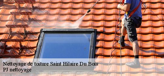 Nettoyage de toiture saint-hilaire-du-bois-49310 PJ nettoyage