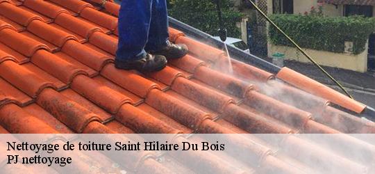 Nettoyage de toiture saint-hilaire-du-bois-49310 PJ nettoyage