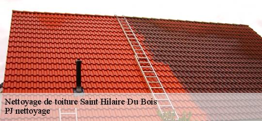 Nettoyage de toiture saint-hilaire-du-bois-49310 PJ nettoyage