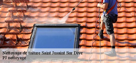 Nettoyage de toiture  saint-jusaint-sur-dive-49260 PJ nettoyage