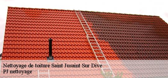 Nettoyage de toiture  saint-jusaint-sur-dive-49260 PJ nettoyage