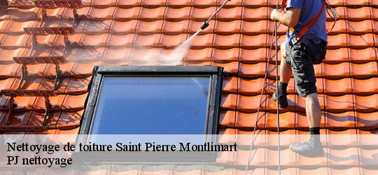 Nettoyage de toiture  saint-pierre-montlimart-49110 PJ nettoyage