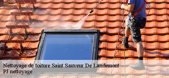 Nettoyage de toiture  saint-sauveur-de-landemont-49270 PJ nettoyage