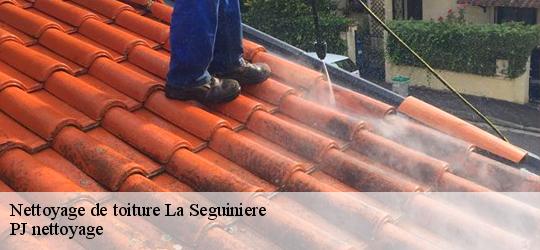 Nettoyage de toiture  la-seguiniere-49280 PJ nettoyage