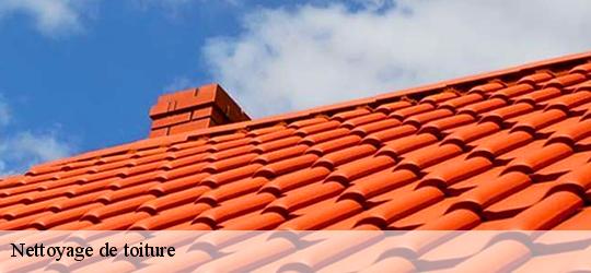 Nettoyage de toiture  soucelles-49140 PJ nettoyage