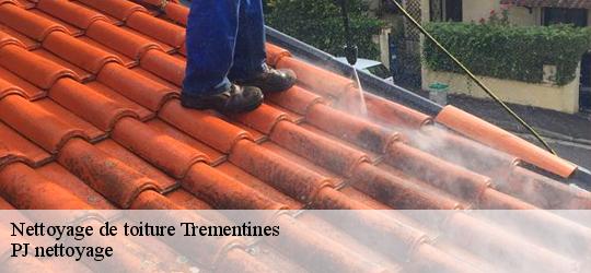 Nettoyage de toiture  trementines-49340 PJ nettoyage