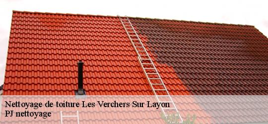 Nettoyage de toiture  les-verchers-sur-layon-49700 PJ nettoyage