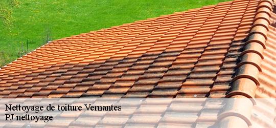 Nettoyage de toiture vernantes-49390 PJ nettoyage