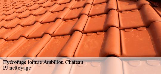 Hydrofuge toiture  ambillou-chateau-49700 PJ nettoyage