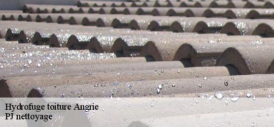 Hydrofuge toiture  angrie-49440 PJ nettoyage