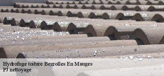 Hydrofuge toiture begrolles-en-mauges-49122 PJ nettoyage