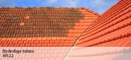 Hydrofuge toiture begrolles-en-mauges-49122 PJ nettoyage