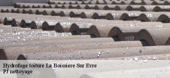 Hydrofuge toiture  la-boissiere-sur-evre-49110 PJ nettoyage