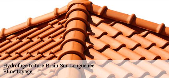 Hydrofuge toiture  brain-sur-longuenee-49220 PJ nettoyage