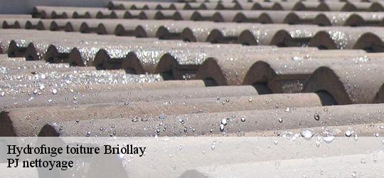 Hydrofuge toiture  briollay-49125 PJ nettoyage
