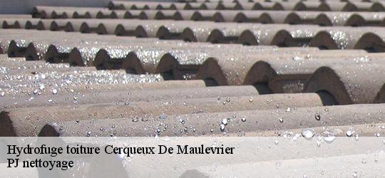 Hydrofuge toiture cerqueux-de-maulevrier-49360 PJ nettoyage