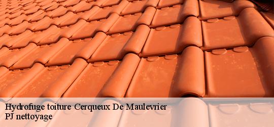 Hydrofuge toiture cerqueux-de-maulevrier-49360 PJ nettoyage