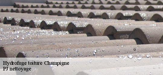 Hydrofuge toiture  champigne-49330 PJ nettoyage