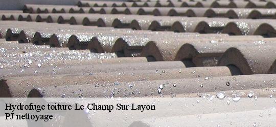 Hydrofuge toiture le-champ-sur-layon-49380 PJ nettoyage