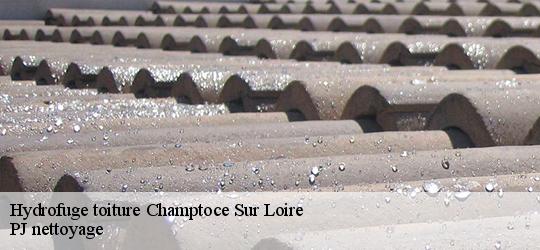 Hydrofuge toiture  champtoce-sur-loire-49123 PJ nettoyage
