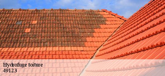 Hydrofuge toiture  champtoce-sur-loire-49123 PJ nettoyage