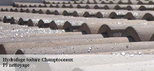 Hydrofuge toiture  champtoceaux-49270 PJ nettoyage