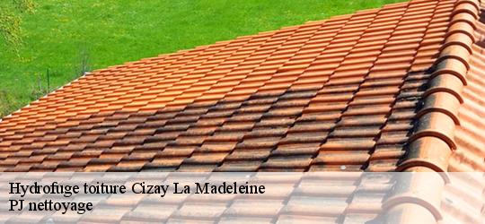 Hydrofuge toiture cizay-la-madeleine-49700 PJ nettoyage