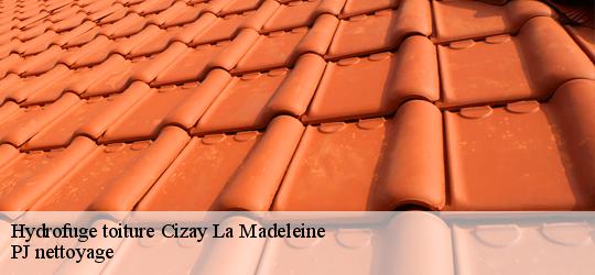 Hydrofuge toiture  cizay-la-madeleine-49700 PJ nettoyage