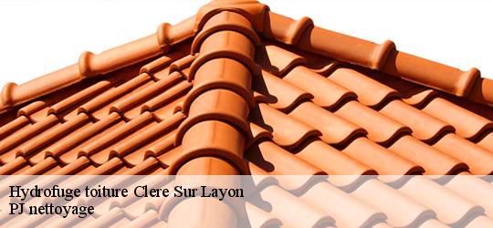 Hydrofuge toiture  clere-sur-layon-49560 PJ nettoyage