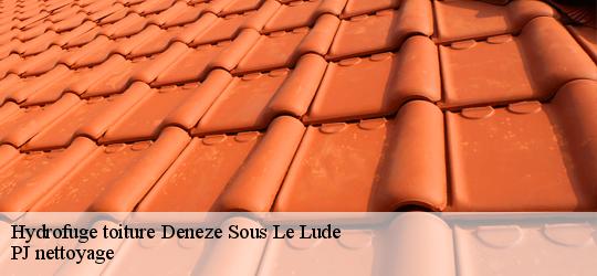 Hydrofuge toiture  deneze-sous-le-lude-49490 PJ nettoyage