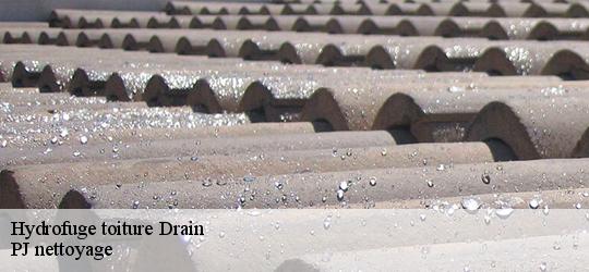 Hydrofuge toiture  drain-49530 PJ nettoyage