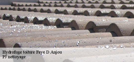 Hydrofuge toiture  faye-d-anjou-49380 PJ nettoyage