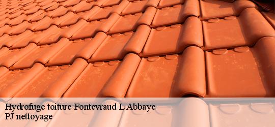 Hydrofuge toiture  fontevraud-l-abbaye-49590 PJ nettoyage