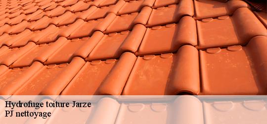 Hydrofuge toiture jarze-49140 PJ nettoyage