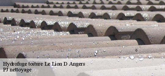 Hydrofuge toiture  le-lion-d-angers-49220 PJ nettoyage