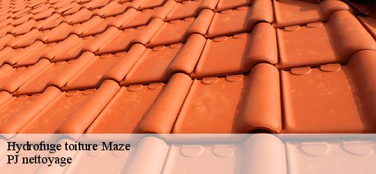 Hydrofuge toiture maze-49250 PJ nettoyage