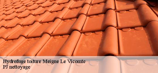 Hydrofuge toiture  meigne-le-vicomte-49490 PJ nettoyage