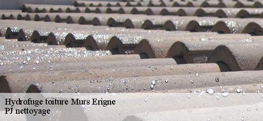 Hydrofuge toiture  murs-erigne-49130 PJ nettoyage