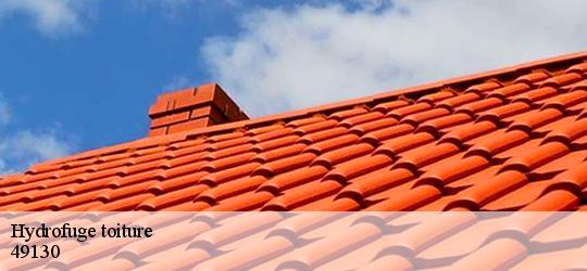 Hydrofuge toiture  murs-erigne-49130 PJ nettoyage