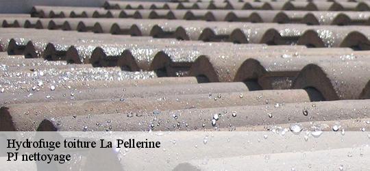 Hydrofuge toiture la-pellerine-49490 PJ nettoyage