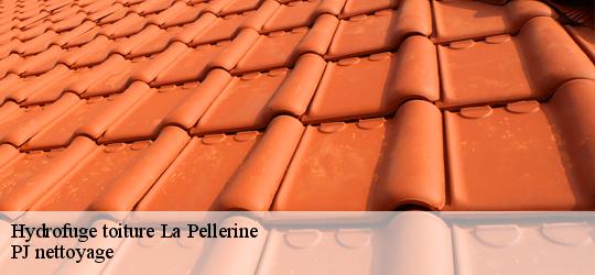 Hydrofuge toiture la-pellerine-49490 PJ nettoyage