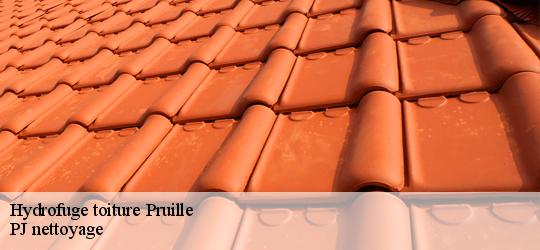 Hydrofuge toiture pruille-49220 PJ nettoyage