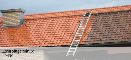 Hydrofuge toiture les-rairies-49430 PJ nettoyage