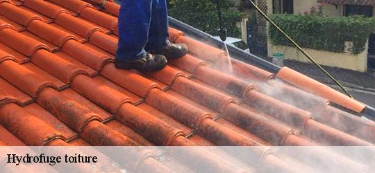 Hydrofuge toiture les-rairies-49430 PJ nettoyage