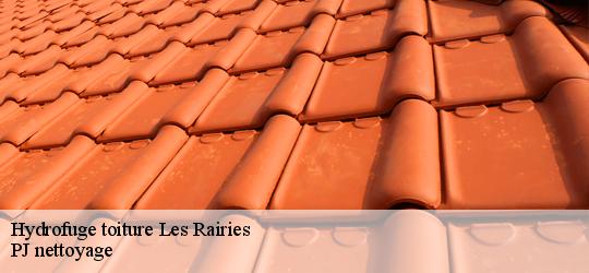 Hydrofuge toiture les-rairies-49430 PJ nettoyage
