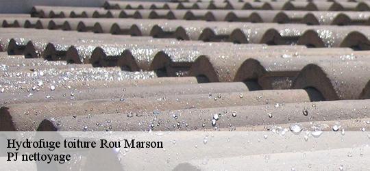 Hydrofuge toiture  rou-marson-49400 PJ nettoyage